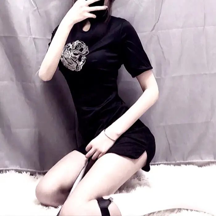巡回检察组